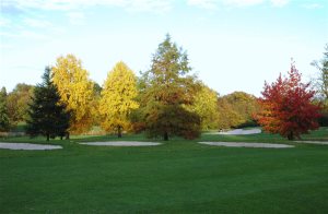 Green-fee Daily Golf du Haras de Jardy