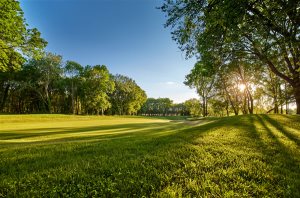 Green-fee Garden Golf Bluegreen Guerville