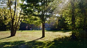 Green-fee Garden Golf Bluegreen de Marolles-en-Brie