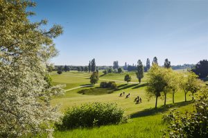Green-fee Garden Golf Bluegreen Saint-Quentin-en-Yvelines