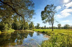 Green-fee Daily Golf Bluegreen Val d'Amour